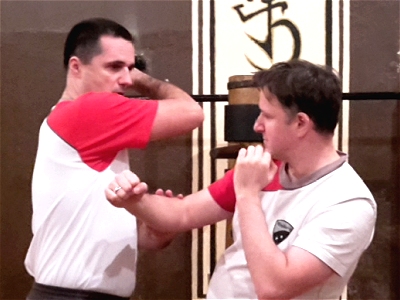 Wing Tsun Blitz Defence