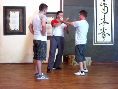 Wing Tsun trening